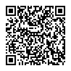 qr.png
