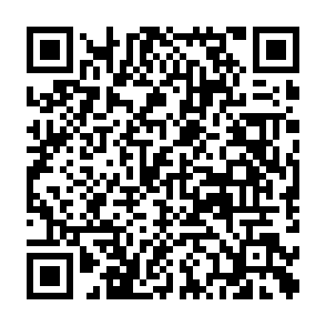 qr.png