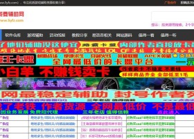 我要辅助网